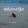 About 玫瑰花开不到海边 Song