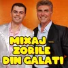 Mixaj - Zorile din Galati