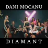 About Diamant Song