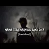 About Maine Tera naam dil rakh diya-Slowed & Reverb Song