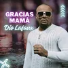 About Gracias mamá Song