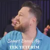 About Tek Yeterim Song