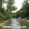 Murmullos del Río