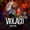 About Violaço Song