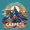 About Carpatii Song