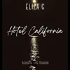 About Hotel California Song