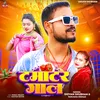 About Tamatar Gal Song