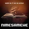 About Nimesamehe Song