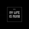 About My Life is Numb Song