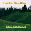 Gule Gul Dana Dana