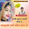 About Thari Surat Pyari Laag R Chandrma Ko Kail Kr Ch Song