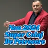 About Nou 2024 Super Colaj De Petrecere Song