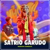 About SATRIO GARUDO Song