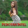 About Pedotan Intel Song