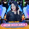 About Anyar Dedih Janda Song