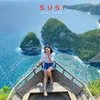 About SUSI Song