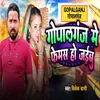 About Gopalganj Me Femash Ho Jaibu Song