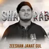 About Sharab Song