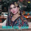 About Mera Dil Jani Song