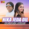 About Nika Jeda Dil Song