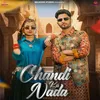 About Chandi Ka Nada Song