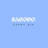 About SABODO Song