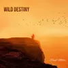 About Wild Destiny Song