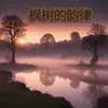 About 枫树的韵律 Song