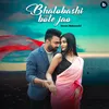 About Bhalobashi Bole Jao Song