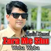 About Zara Me Shu Woba Woba Song