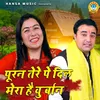 About Puran Tere Pe Dil Mera Hai Kurban Song