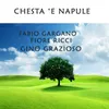 About Chesta e' Napule Song