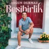 Beşibirlik