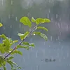 雨中愁