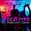 About Tozzi Mix / Tu / Stella stai / Gloria Song