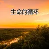 About 生命的循环 Song