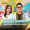 About Sindoro Sumbing Song
