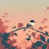 Ambient Birds Sounds, Pt. 1770