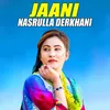 About Jaani Song