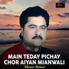 About Main Teday Pichay Chor Aiyan Mianwali Song