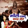 About Bhole Shambhoo Nath Mere Song