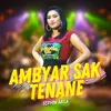 Ambyar Sak Tenane