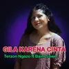 About Gila Karena Cinta Song