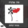 תהו ובהו מלחמה