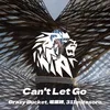 About Can't Let Go Song