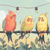 Ambient Birds Sounds, Pt. 1800