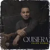 About Quisiera Song