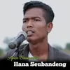 About Hana Seubandeng Song