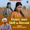 About Likhal Jawan Bidhi Ka Bidhanawa Song