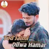 About Tod Jaimi Dilwa Hamar Song